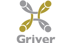 LogoGrupo Inversor Veracruzano (GRIVER)
