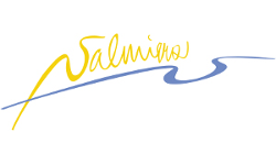 LogoValmiera Stadtverwaltung